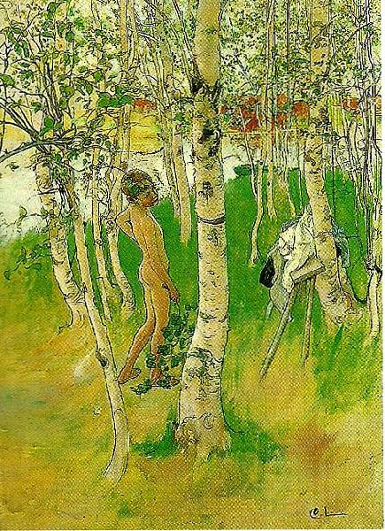 Carl Larsson ulf en naken pojke mellan bjorkstammar-ulf badar pa bullerholmen Spain oil painting art